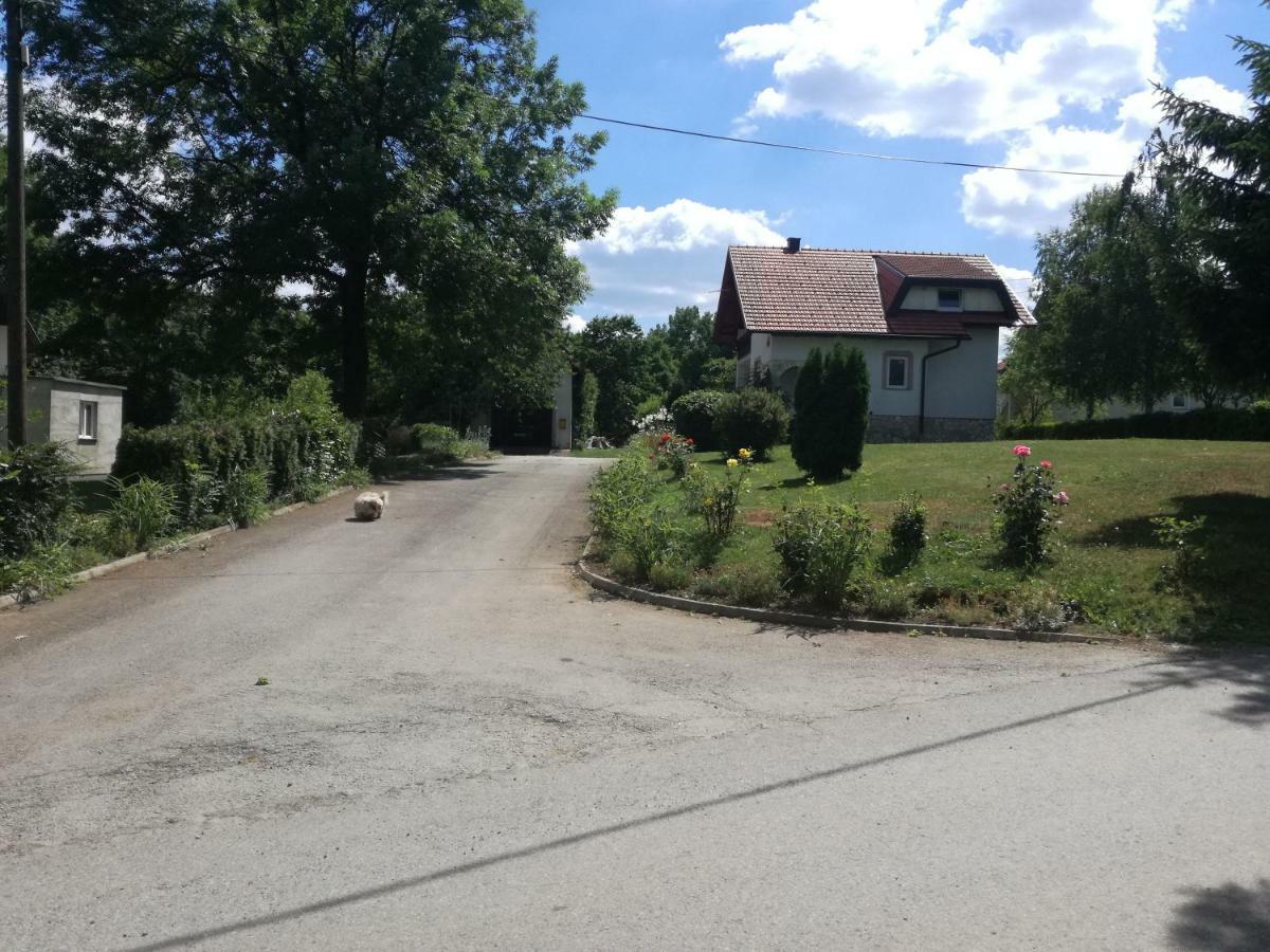 Apartman Jasmin Apartamento Čatrnja Exterior foto