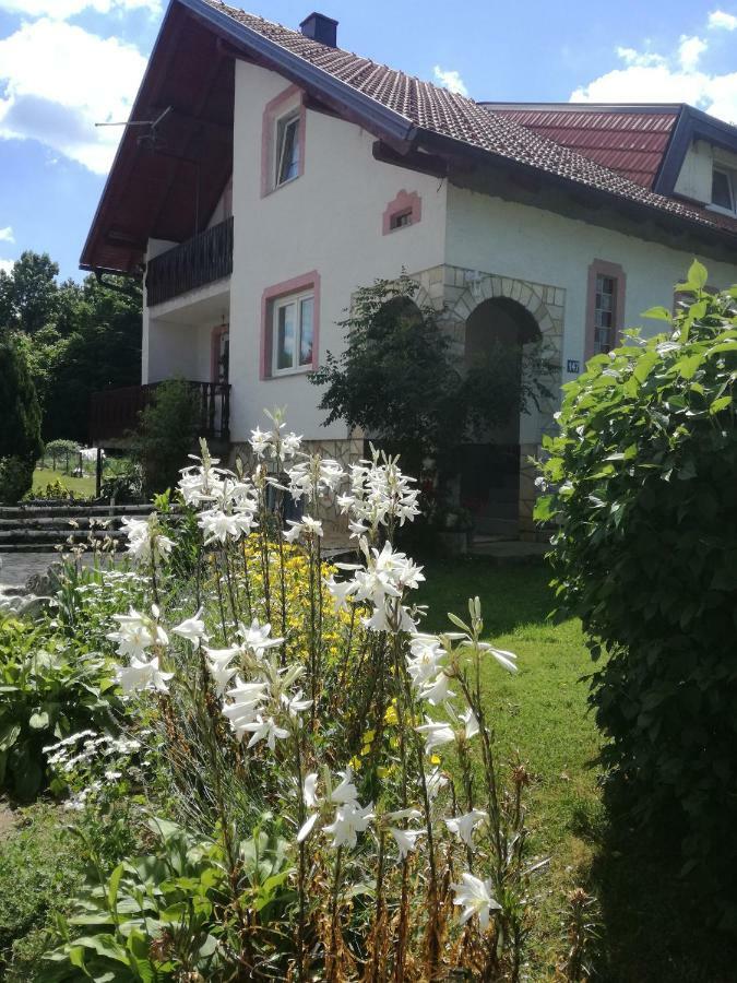 Apartman Jasmin Apartamento Čatrnja Exterior foto